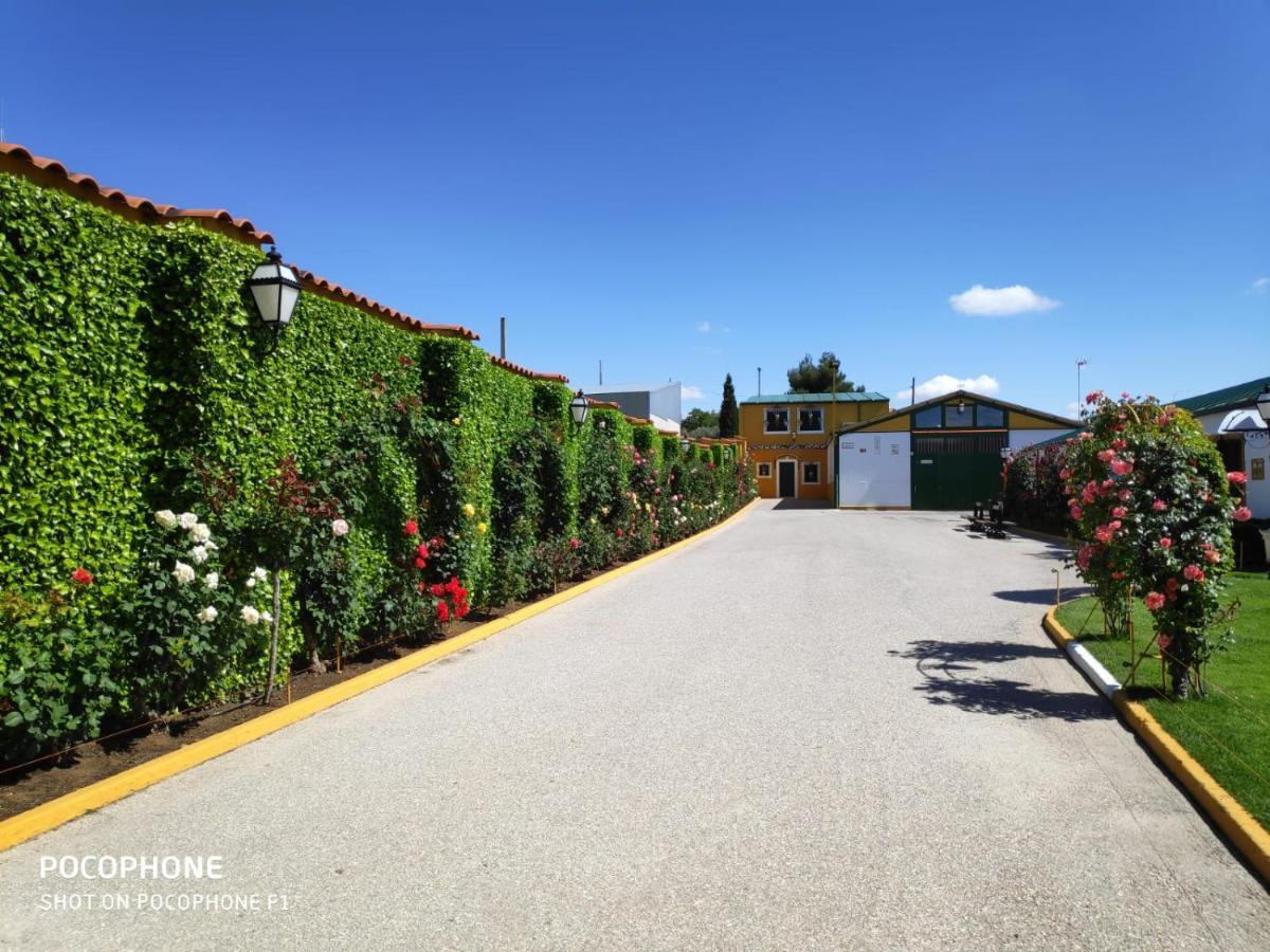 Apartment Con Piscina, Celebracion Eventos Y Bodas Cerca De Madrid